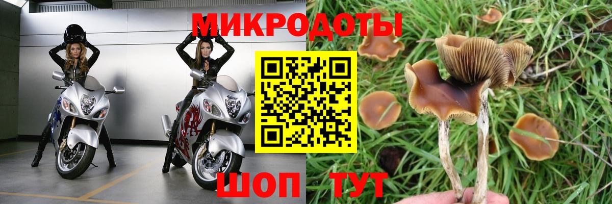 Галлюциногенные грибы MAGIC MUSHROOMS Белореченск